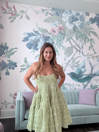 Dream Clover Organza Mini Dress