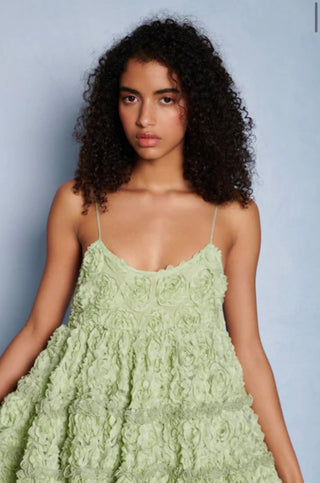 Dream Clover Organza Mini Dress
