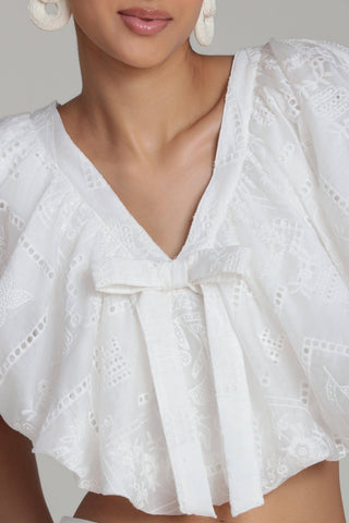 Embroidered Ruffle Crop Top