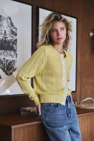 Pointelle Knit Cardigan Lace Trim Button Down