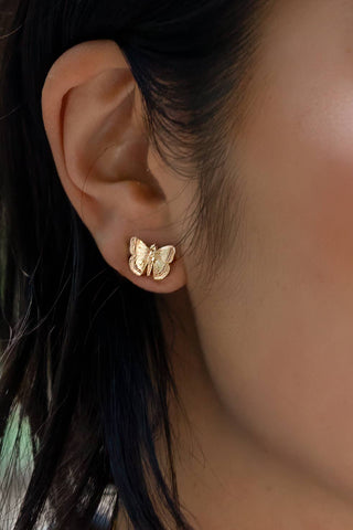 Butterfly Effect Studs