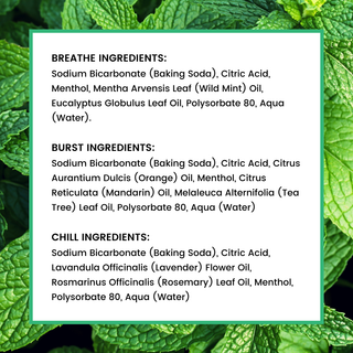 Shower Steamers Aromatherapy - USA Made - (7 count)