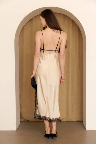 Champagne Noir Lace Slip Midi Dress