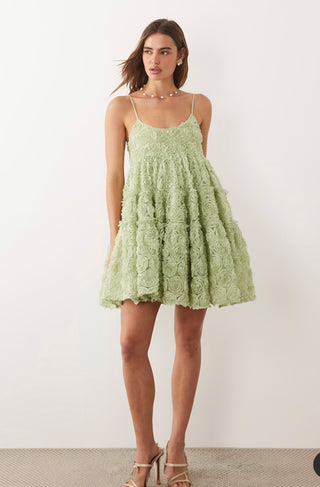 Dream Clover Organza Mini Dress