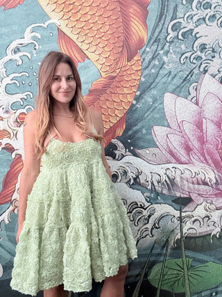 Dream Clover Organza Mini Dress