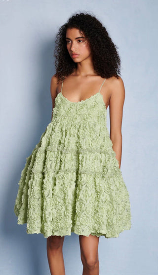 Dream Clover Organza Mini Dress