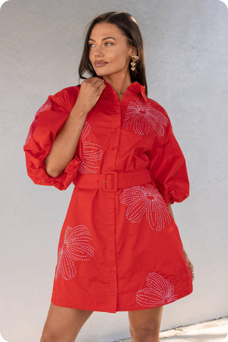 Embroidered Puff Sleeve Belted Mini Shirt Dress