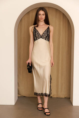 Champagne Noir Lace Slip Midi Dress S / CHAMPAGNE/BLACK