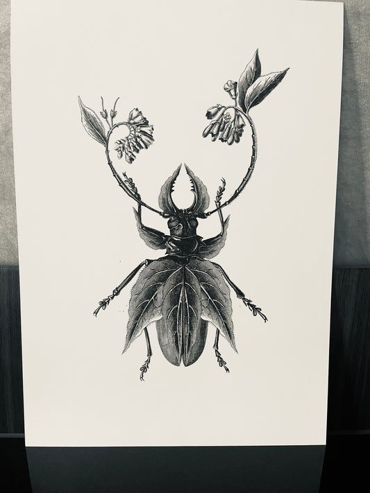 Beetle Print - New Beginnings Sketched Art Print