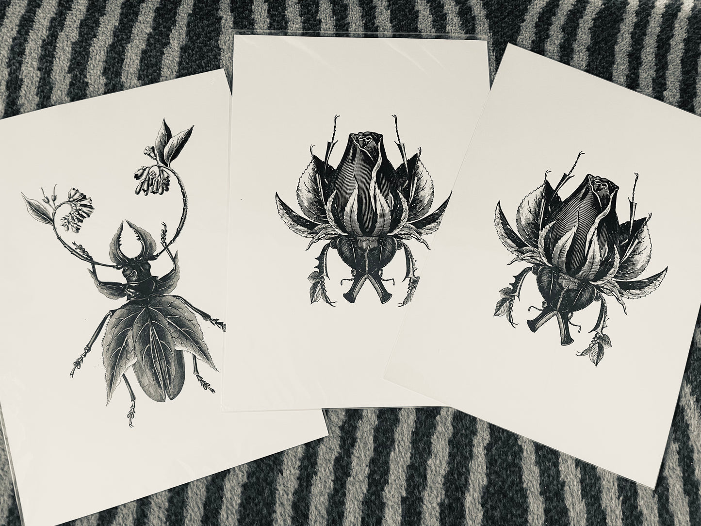 Beetle Print - The Blossoming Sketched Print